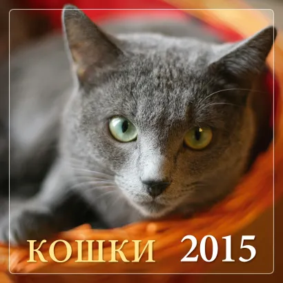 Обложка Кошки 2015 