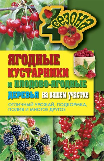 Ягодные кустарники и плодово-ягодные деревья на вашем участке. Отличный урожай Ягодные кустарники и плодово-ягодные деревья на вашем участке. Отличный урожай Николаева О.В.
