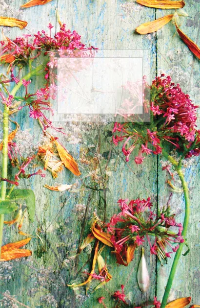 Обложка Блокнот для записей Природа А5