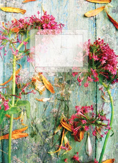 Обложка Блокнот для записей Природа А6