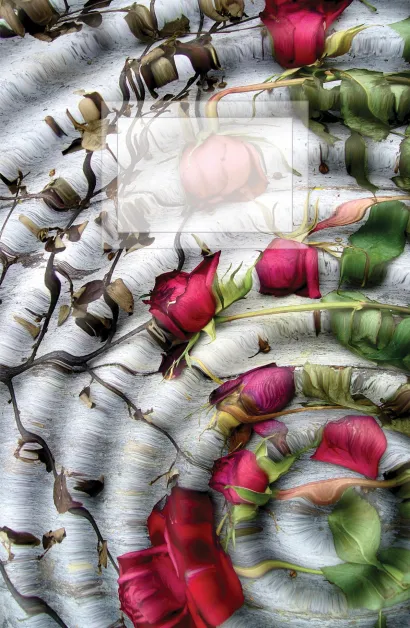 Обложка Блокнот для записей Иллюзия цветов А5