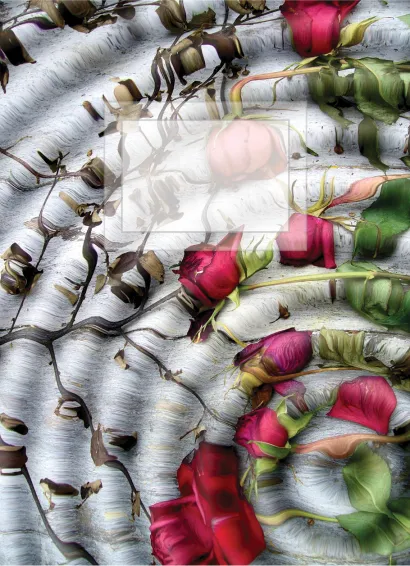 Обложка Блокнот для записей Иллюзия цветов А6