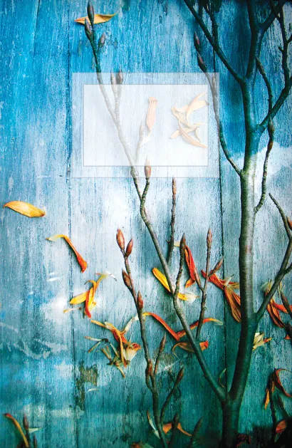 Обложка Блокнот для записей Небо под водой А5