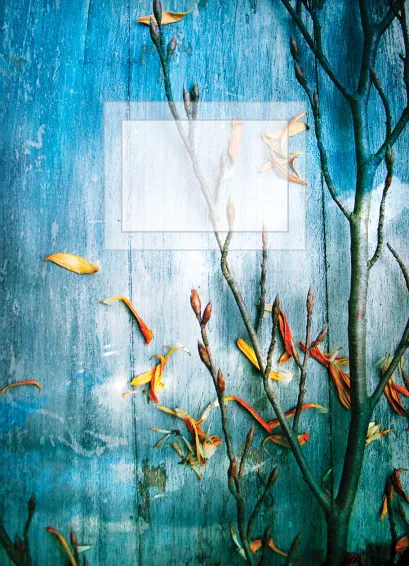 Обложка Блокнот для записей Небо под водой А6