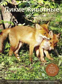 Дикие животные: Иллюстрированная энциклопедия обитателей средней полосы России (с музыкальным модулем)(оформление 2)