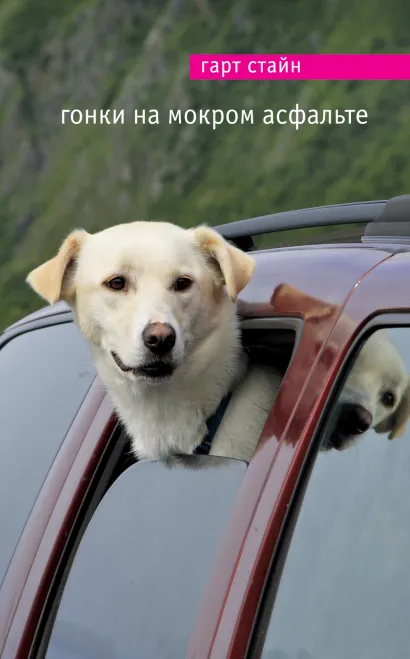 Обложка Гонки на мокром асфальте Гарт Стайн