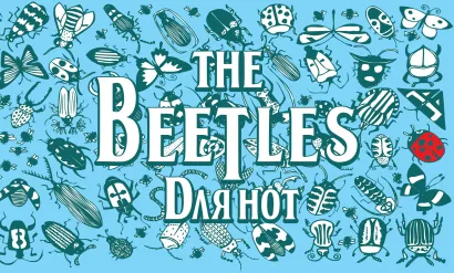 Обложка Тетрадь для нот (маленькая на скрепке)Жуки 