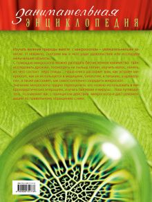 Обложка сзади Удивительный микроскоп: иллюстрированный путеводитель Оксана Мазур