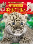 Детеныши животных. Детская энциклопедия Детеныши животных. Детская энциклопедия