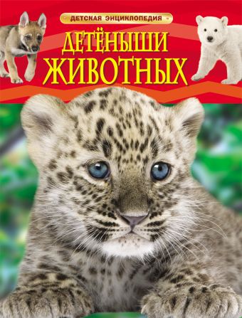 Детеныши животных. Детская энциклопедия Детеныши животных. Детская энциклопедия