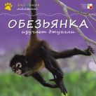 Забавные малыши. Обезьянка изучает джунгли Забавные малыши. Обезьянка изучает джунгли