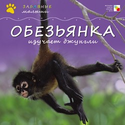 Забавные малыши. Обезьянка изучает джунгли Забавные малыши. Обезьянка изучает джунгли Майкл Тейтелбаум