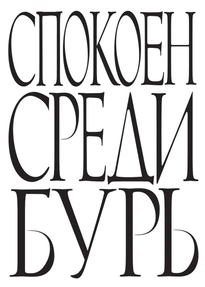 Обложка Спокоен среди бурь 