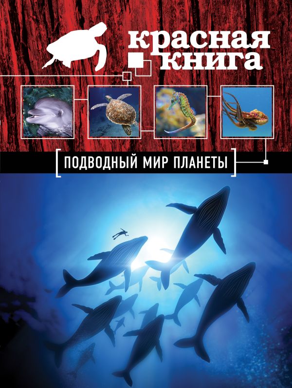 Красная книга. Подводный мир планеты Красная книга. Подводный мир планеты Скалдина О.В.