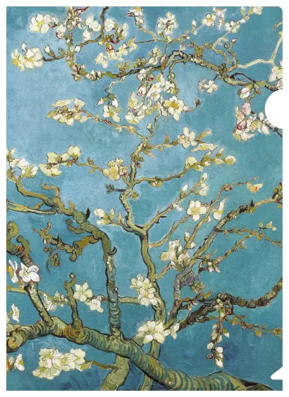 Обложка Ван Гог (ветка миндаля) 