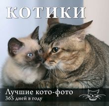 Обложка Календарь. Котики: Лучшие кото-фото. 365 дней в году (оформление 2) 