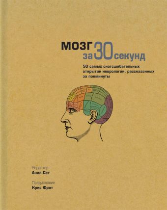 Узнать за 30 секунд.Мозг за 30 секунд Узнать за 30 секунд.Мозг за 30 секунд