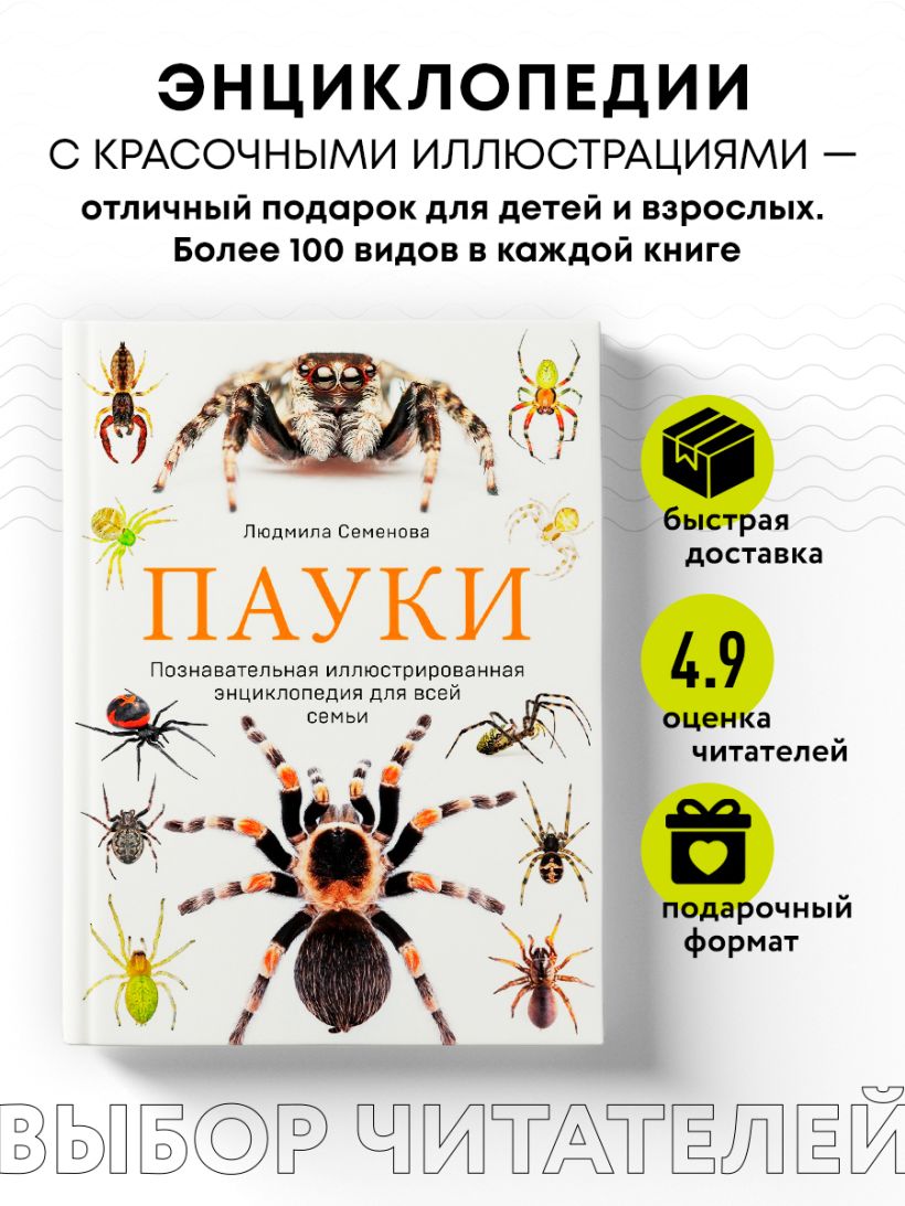 Книга Пауки Познавательная иллюстрированная энциклопедия для всей семьи  Людмила Семенова - купить от 1 306 ₽, читать онлайн отзывы и рецензии |  ISBN 978-5-699-76228-6 | Эксмо