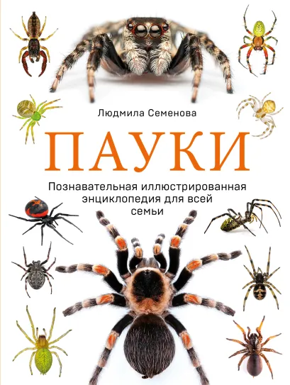 Обложка Пауки. Познавательная иллюстрированная энциклопедия для всей семьи Людмила Семенова