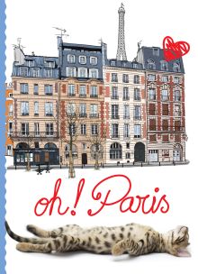 Обложка Кот в Париже 
