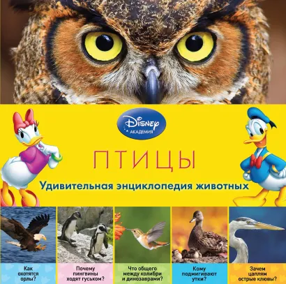 Обложка Птицы (2-е издание) 