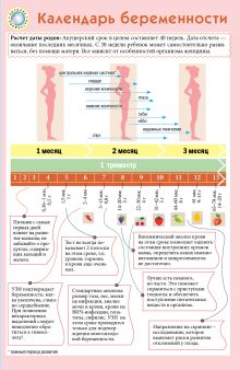 Календарь беременности