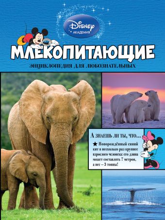 Млекопитающие Млекопитающие
