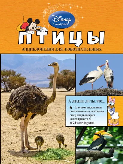 Обложка Птицы 