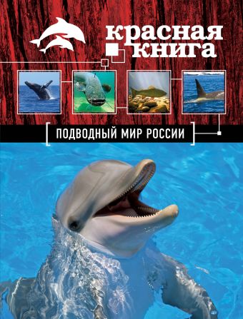 Красная книга. Подводный мир России Красная книга. Подводный мир России Лукашанец Д.А., Скалдина О.В.