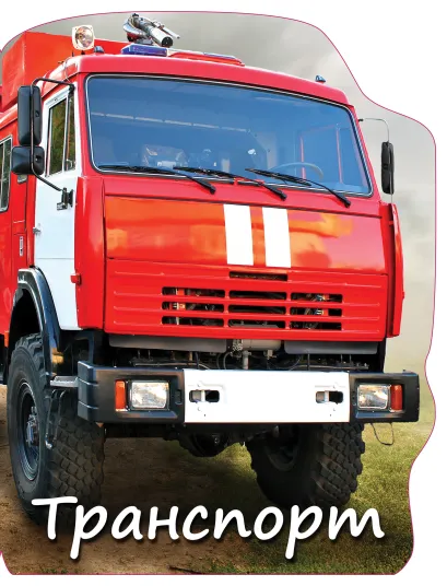 Обложка Транспорт О.В. Лифенко