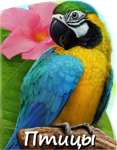 Обложка Птицы О.В. Лифенко