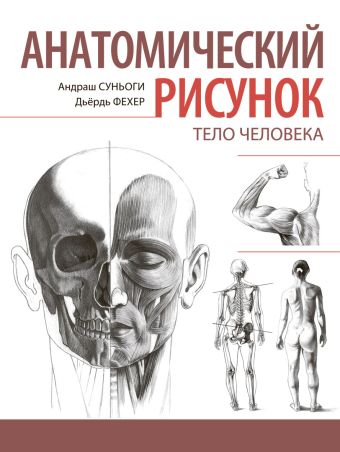 Анатомический рисунок. Тело человека Анатомический рисунок. Тело человека Суньоги А.
