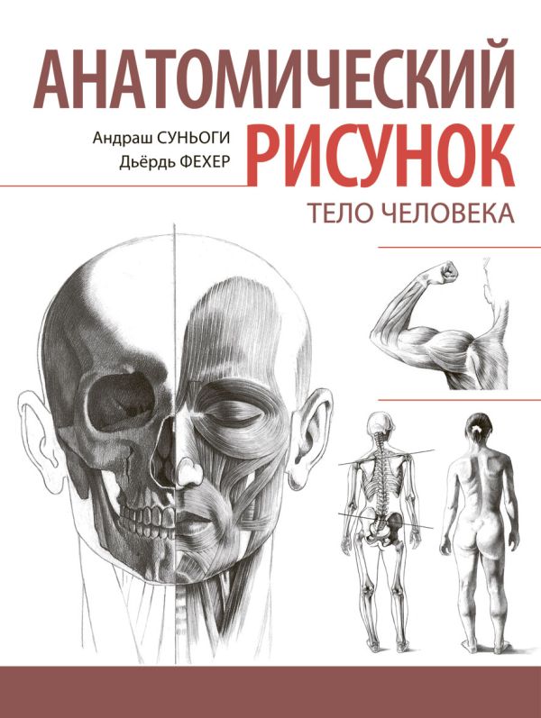 Анатомический рисунок. Тело человека Анатомический рисунок. Тело человека Суньоги А.