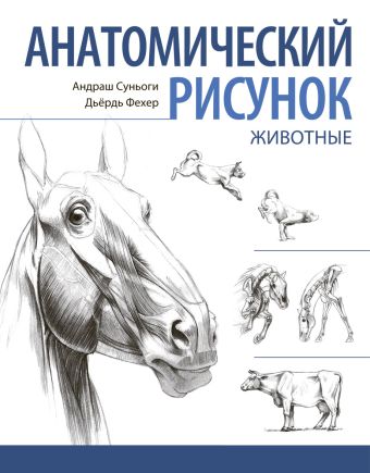 Анатомический рисунок. Животные Анатомический рисунок. Животные Суньоги А.