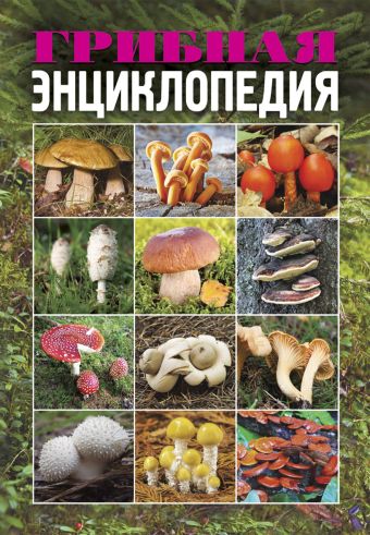Грибная энциклопедия Грибная энциклопедия Лагутина Т.