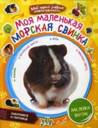 Моя маленькая морская свинка Моя маленькая морская свинка