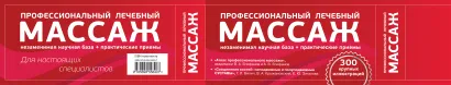 Обложка Профессиональный лечебный массаж 