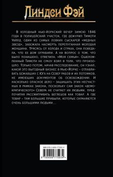 Обложка сзади Тайна семи Линдси Фэй