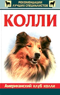 Колли Колли Группа