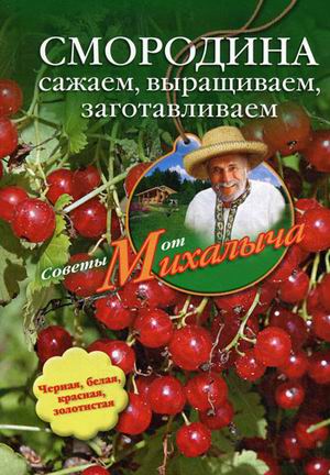 Смородина. Сажаем, выращиваем, заготавливаем. Смородина. Сажаем, выращиваем, заготавливаем. Звонарев Н.М.