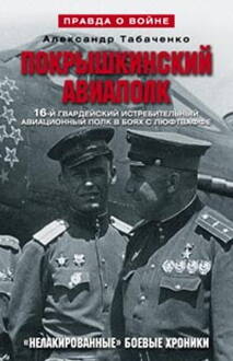Покрышкинский авиаполк(серый). 16-й гвардейский истребительский авиационный полк в боях с Люфтваффе.
