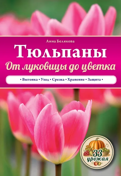 Обложка Тюльпаны. От луковицы до цветка Белякова Анна