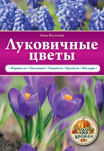 Луковичные цветы Луковичные цветы Белякова А.В.