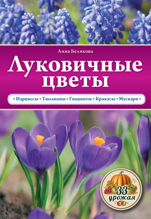 Луковичные цветы Луковичные цветы Белякова А.В.