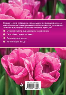 Обложка сзади Луковичные цветы Анна Белякова