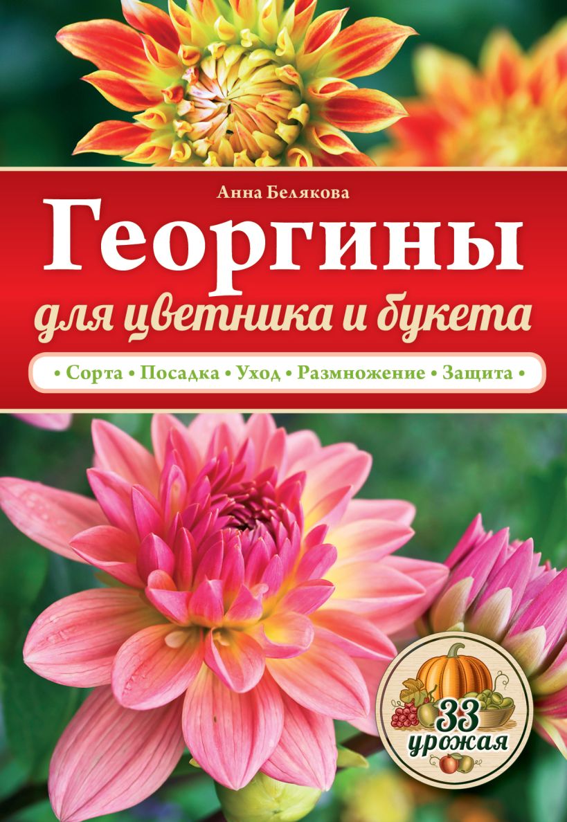 Книга Георгины для цветника и букета Анна Белякова - купить, читать онлайн  отзывы и рецензии | ISBN 978-5-699-77867-6 | Эксмо