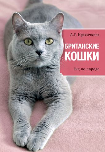 Британские кошки Британские кошки Анастасия Геннадьевна Красичкова