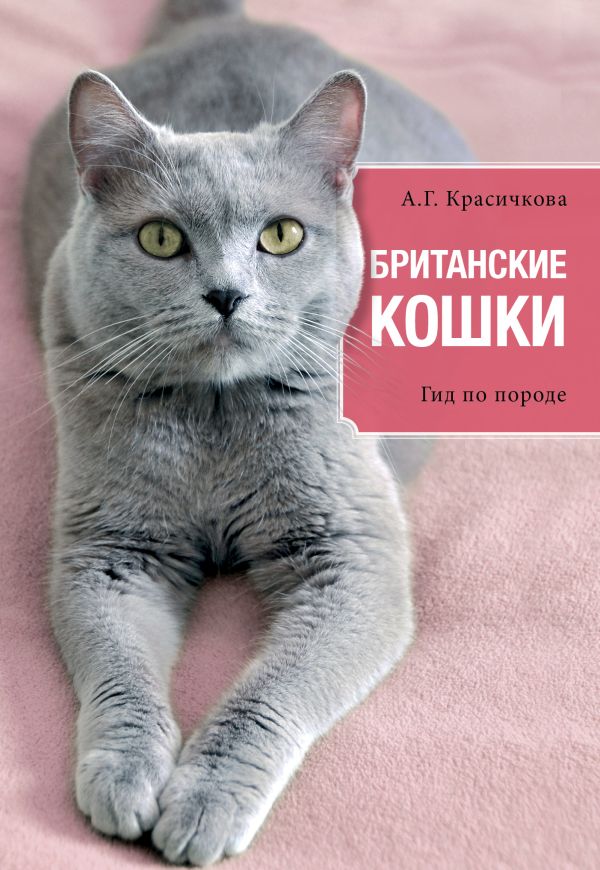 Британские кошки Британские кошки Анастасия Геннадьевна Красичкова