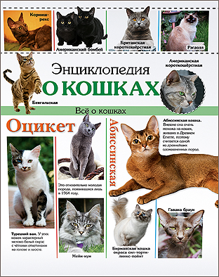 ЭНЦИКЛОПЕДИЯ О КОШКАХ ЭНЦИКЛОПЕДИЯ О КОШКАХ