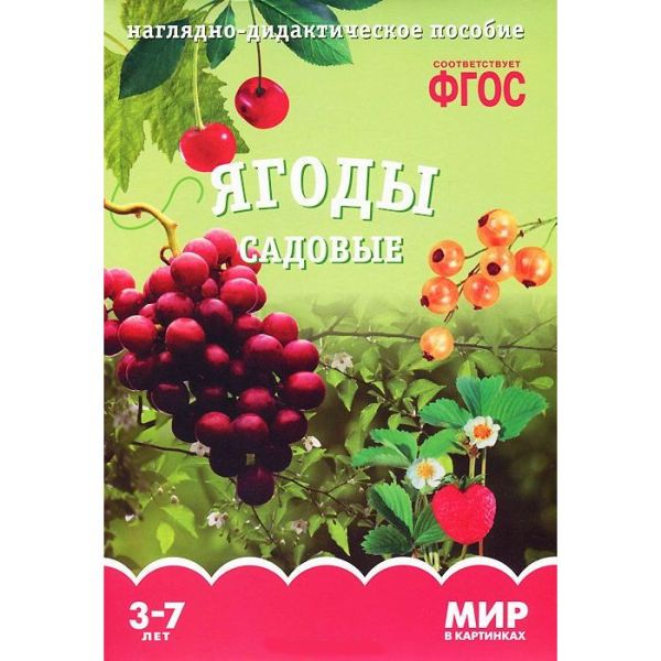 ФГОС Мир в картинках. Ягоды садовые. ФГОС Мир в картинках. Ягоды садовые.